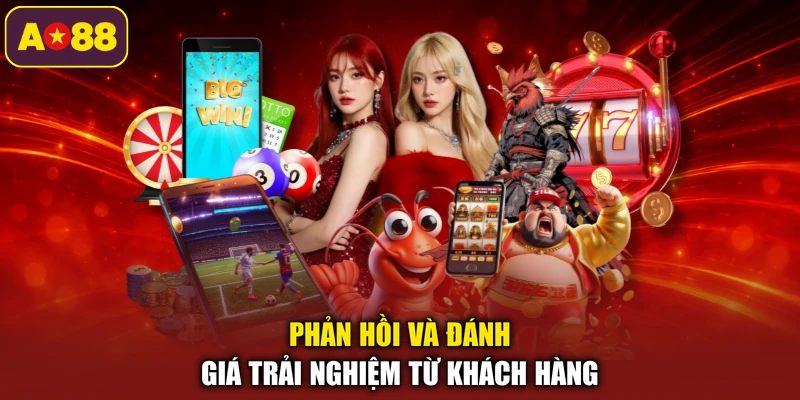 Phản hồi và đánh giá trải nghiệm từ khách hàng